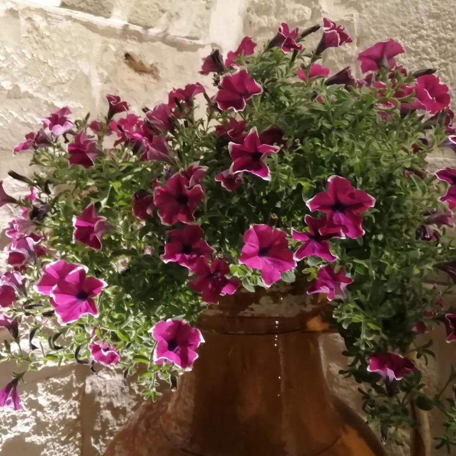 Annas Trulli Paradise-Alberobello 马丁纳弗兰卡 外观 照片